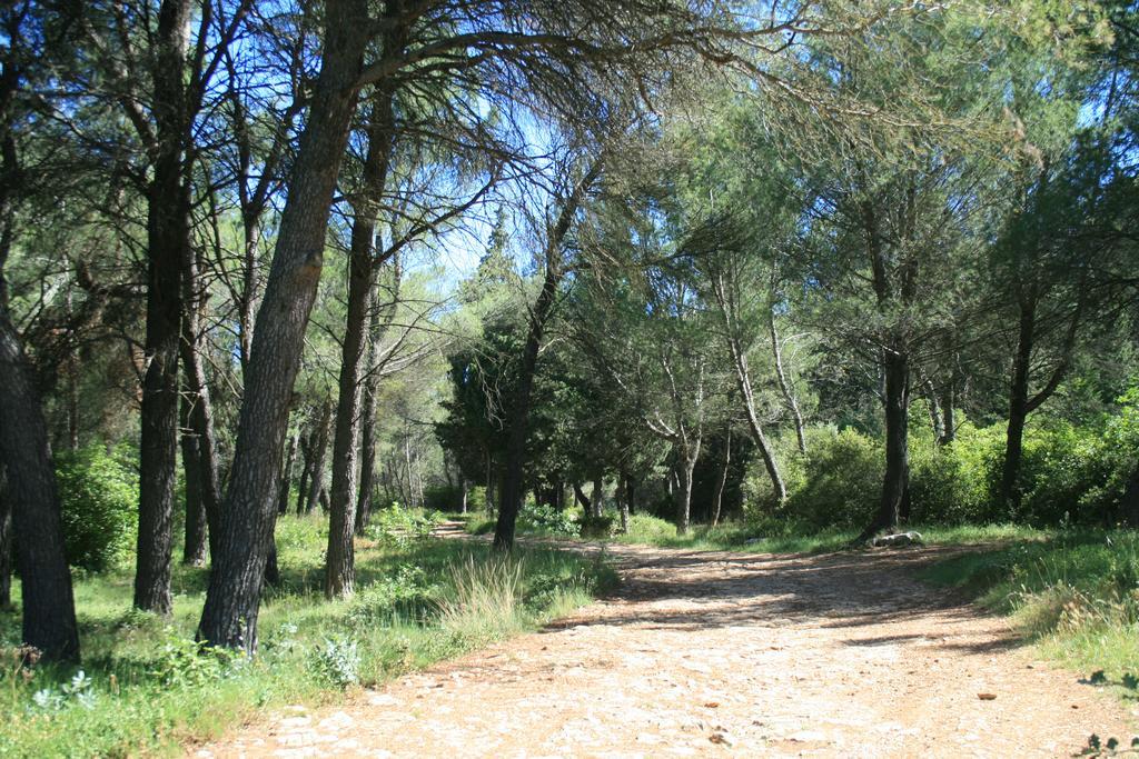 Chambres D'Hotes Le Puid De Gauthier Saturargues Luaran gambar